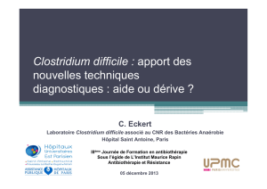 Clostridium difficile - Institut Maurice Rapin