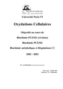 Oxydations Cellulaires