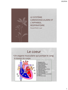 PowerPoint 2.4a, Le système cardiovasculaire, PDF