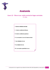 Anatomie Cours 12 - Tête et cou: rachis cervical et loges cervicales