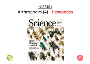 Hexapodes