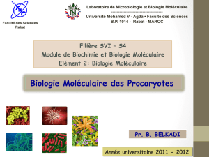 BM microbienne S4 2012 - Faculté des Sciences de Rabat