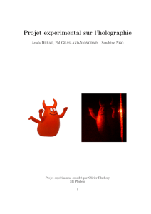 Projet expérimental sur l`holographie - Pol Grasland
