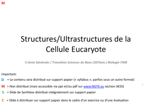Structures/Ultrastructures de la Cellule Eucaryote D