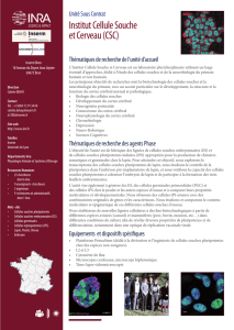 Institut Cellule Souche et Cerveau (CSC)