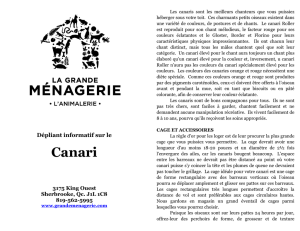 Canari - La Grande Ménagerie