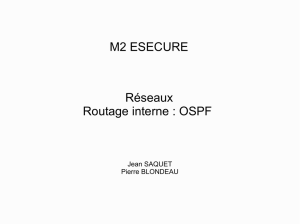 Le Cours OSPF - Pierre BLONDEAU