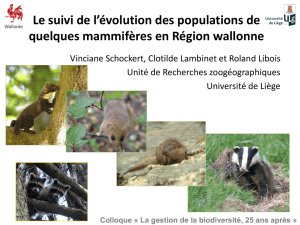 mammifères - La biodiversité en Wallonie