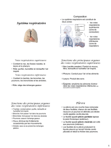 système respiratoire complet (sans background)
