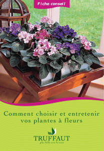 Comment choisir et entretenir vos plantes à fleurs