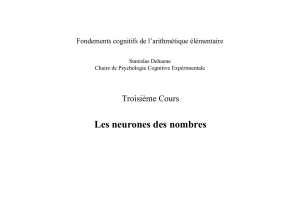 Cours 3, les neurones des nombres pdf /stanislas