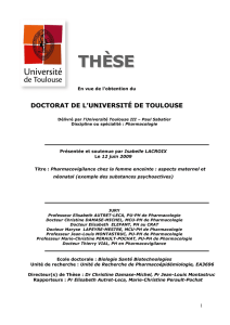 IMG - Accueil thèses