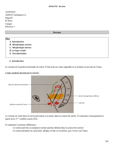 12.CORRIGE Digestif 16.04.14 – Anatomie du rectum