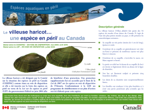 Le villeuse haricot… une espèce en péril au Canada