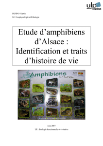 Etudes des Amphibiens d`Alsace.