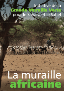 Initiative de la Grande Muraille Verte pour le Sahara et le Sahel