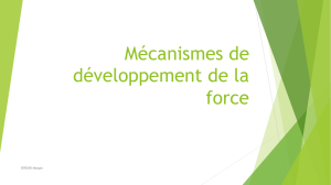 Mécanismes de développement de la force