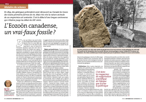 L`Eozoön canadense, un vrai-faux fossile - CHSS