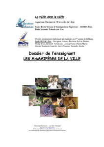 Les mammiferes - Aquarium-Muséum de Liège