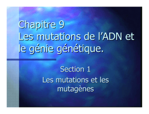 Chapitre 9 Les mutations de l`ADN et le génie génétique.