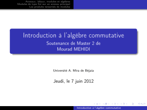 Introduction à l`algèbre commutative