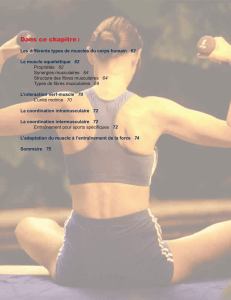 La structure et la fonction des muscles
