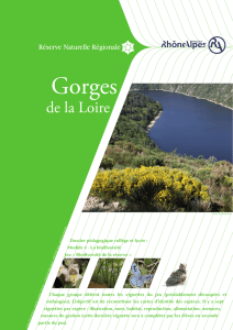 Biodiversité de la réserve - Réserve Naturelle Régionale | Gorges