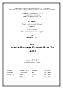 Monographie du genre Moricandia DC., de l`Est algérien