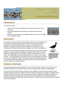 Introduction Description Habitat et habitudes