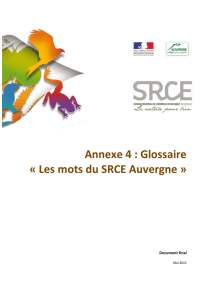 Annexe 4 : Glossaire « Les mots du SRCE Auvergne »