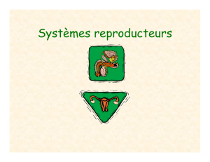 Systèmes reproducteurs