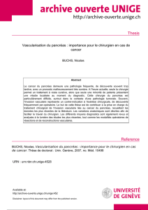 Thesis - Archive ouverte UNIGE