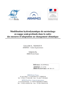 Modélisation hydrodynamique de surstockage en nappe semi