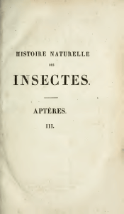 Histoire naturelle des insectes : aptères