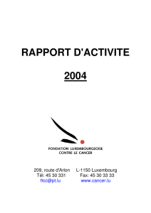 rapport d`activite 2004