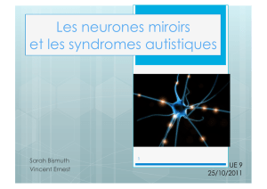 Les neurones miroirs et les syndromes autistiques