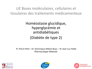 DFGSM3 - UE BMCTTM - antidiabétiques - JL Faillie