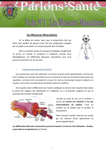 Fiche N 1 - Les blessures musculaires