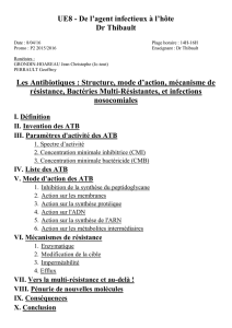 P2-UE8-Thibault-Les_Antibiotiques