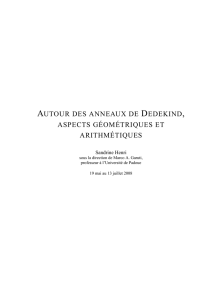 autour des anneaux de dedekind, aspects géométriques et