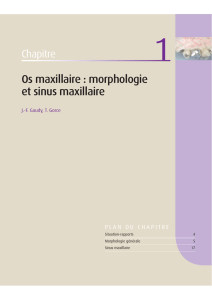 Os maxillaire : morphologie et sinus maxillaire