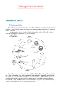 Développement des Invertébrés