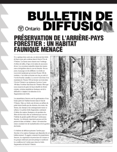 PRÉSERVATION DE L`ARRIÈRE-PAYS FORESTIER : UN HABITAT