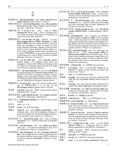 a ~ a dictionnaire Ricci des plantes de chine 1 (sylv.) Abies