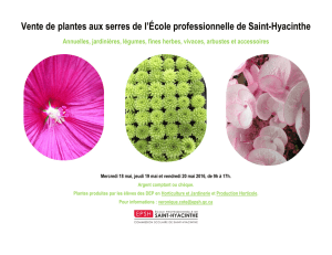 Vente de plantes aux serres de l`École professionnelle de Saint