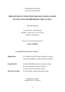 phenotypes et fonctions des sous