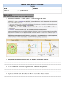 DEVOIR MAISON N°2 DE BIOLOGIE P1C2S1 NOM - SBSSA
