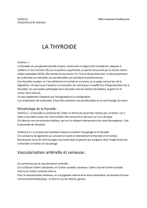 la thyroide