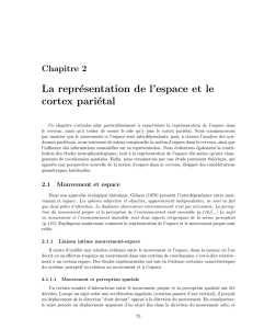 La repr&eacute;sentation de l`espace et le cortex pari&eacute;tal