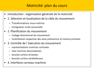 Aire motrice primaire - Master Physique